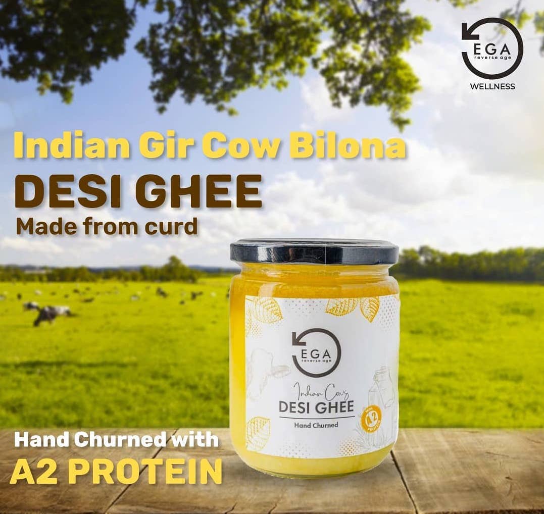 Why one should use cow desi ghee instead of butter? EGA Wellness