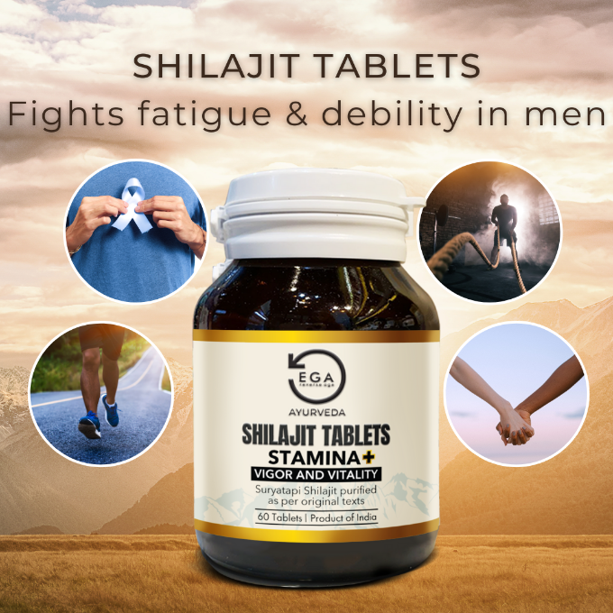 EGA shilajit tablets for more stamina, vigor and vitality