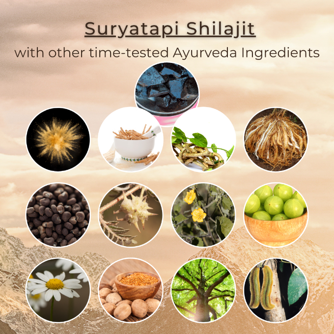 EGA Shilajit Tablets | Suryatapi Shilajit + Ashwagandha + 11 Natural Herbs | Helps ED | Helps PE | Increases Libido | Vigour and Vitality