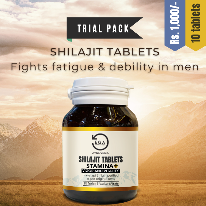 EGA shilajit tablets - pack of 10