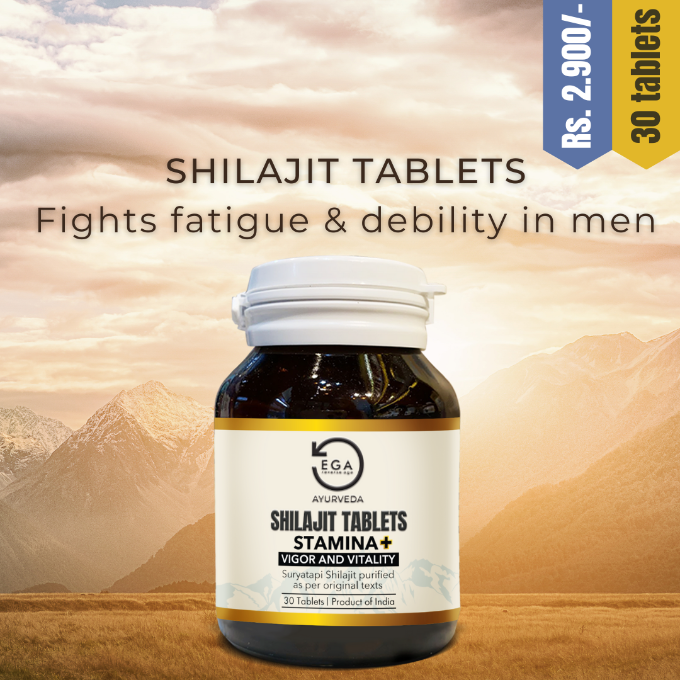 EGA Shilajit tablets pack of 30