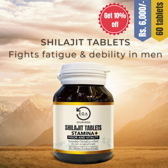 EGA Shilajit tablets - pack of 60