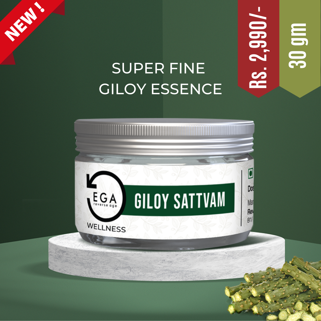 EGA Giloy Sattvam | Super Fine Water Soluble Essence | Blood Cleanser