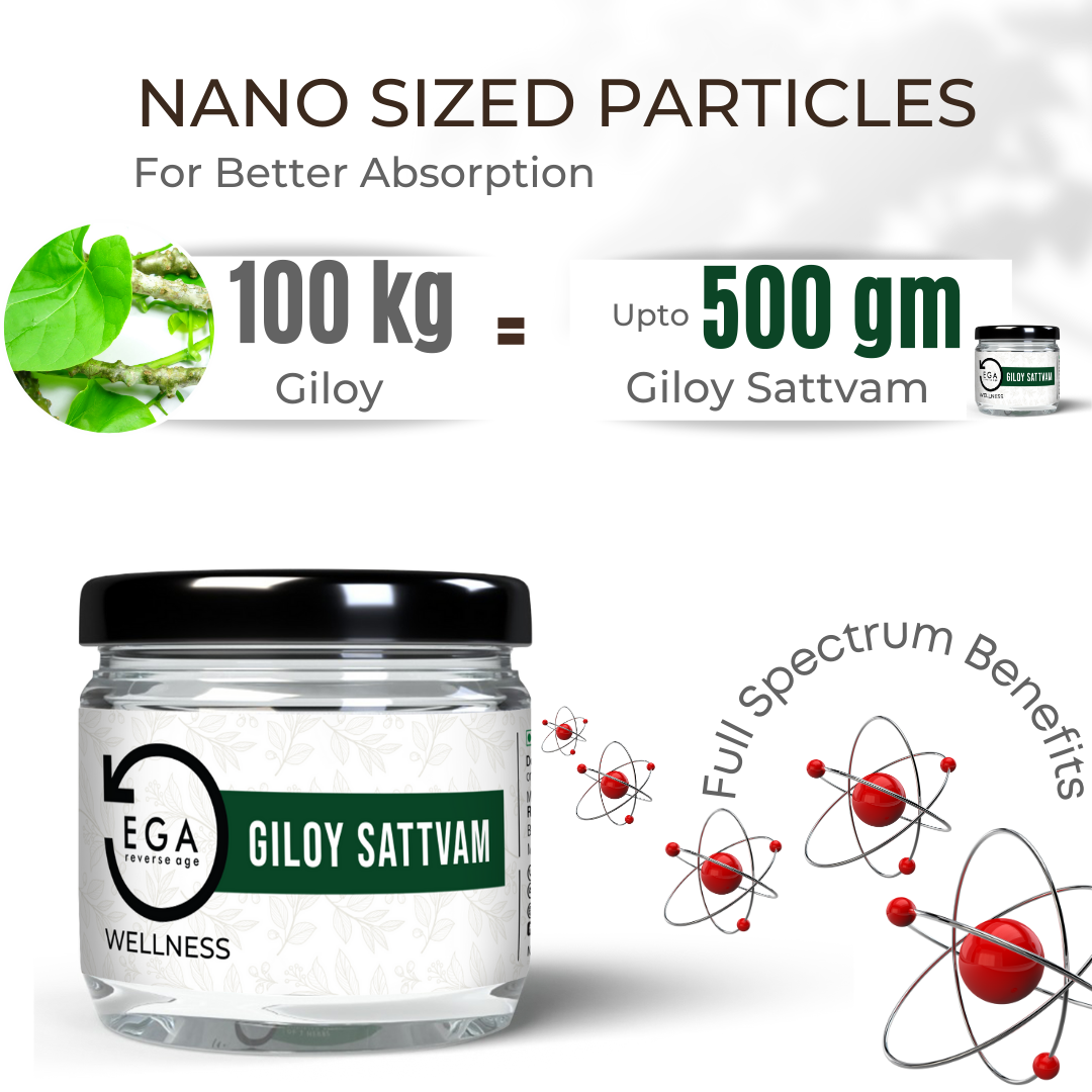 EGA Giloy Sattvam | Super Fine Water Soluble Essence | Blood Cleanser