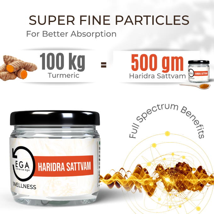 100kg turmeric makes 500gm extract