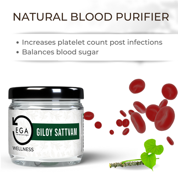 EGA Giloy Sattvam | Super Fine Water Soluble Essence | Blood Cleanser