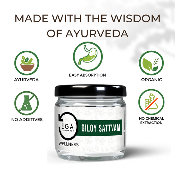 EGA Giloy Sattvam | Super Fine Water Soluble Essence | Blood Cleanser