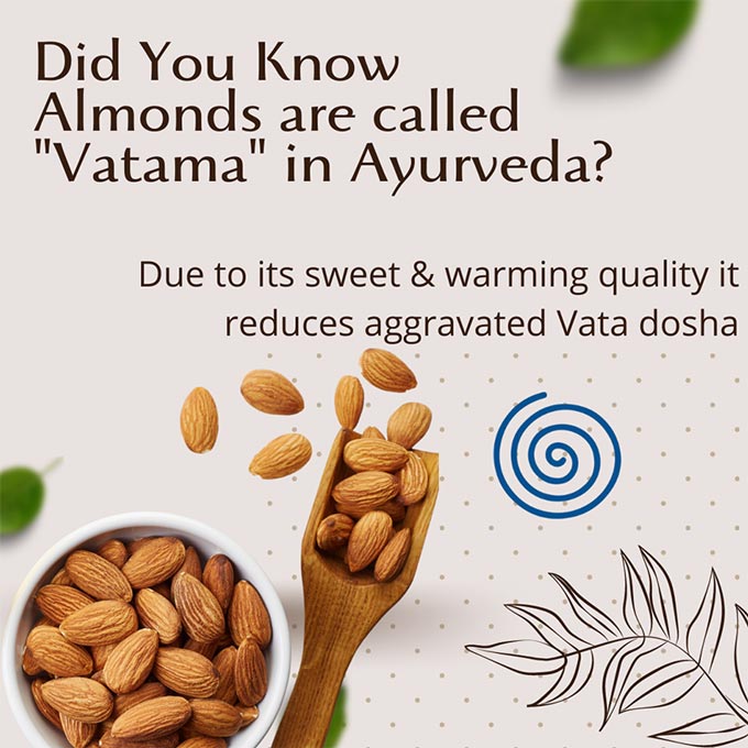 Mamra Almonds | Good Fats | Organic | 250 Gm.
