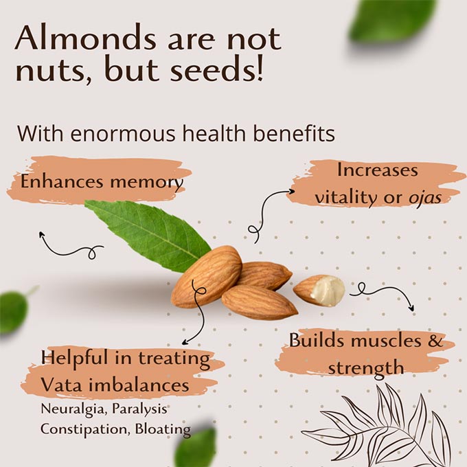 Mamra Almonds | Good Fats | Organic | 250 Gm.