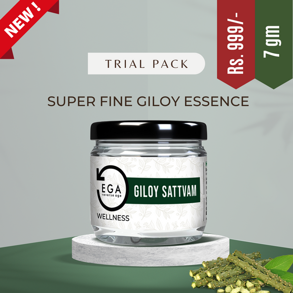 EGA Giloy Sattvam | Super Fine Water Soluble Essence | Blood Cleanser