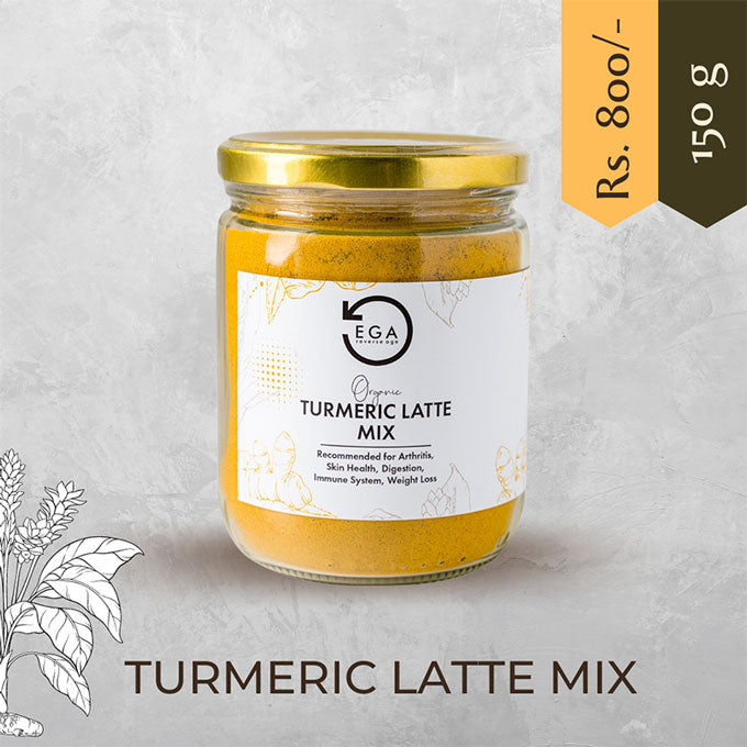 organic turmeric latte mix from ega wellness india also called Haldi Doodh mix