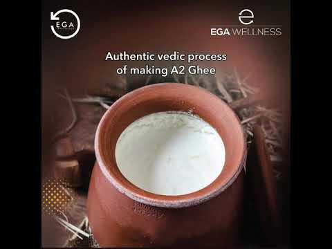 See the process to make desi ghee using the bilona method and A2 Milk from Gir Cows.