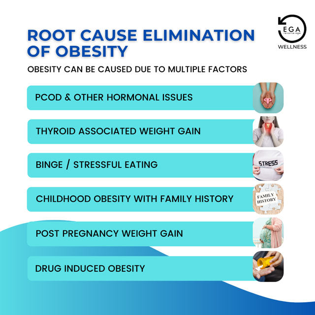 root cause elimination of obesity from ayurveda
