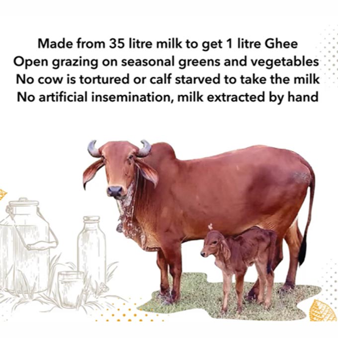 organic 1-litre ghee made from from 35-litre A2 milk