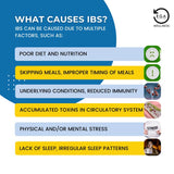 Load image into Gallery viewer, what causes ibs? diet, underlying conditions, toxins in circulatory system, stress, lack of sleep